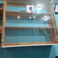 دوعدد ویترین