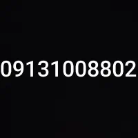 09131008802