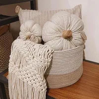 سبد نظم دهنده