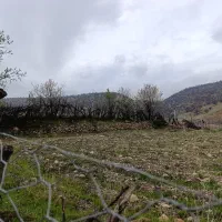 ۱۰۰۰زمین کشاورزی روستای راهمالی