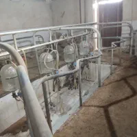 فرم شیردوشی تجهیزات دامداری شیردوش|عمده‌فروشی|احمدآبادمستوفی, |دیوار