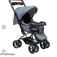 کالسکه بچه دلیجان