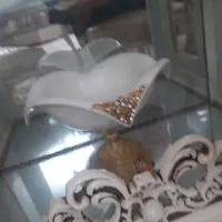 ظروف چینی گل طلایی|ظروف سرو و پذیرایی|رفسنجان, |دیوار