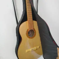 گیتار پارسی nz70