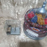 قفس طرقه قفس کوچک سهره