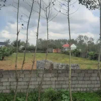 زمین ۱۴۸۰متر سیا اسطلخ