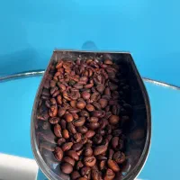 فروش قهوه عمده