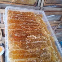 عسل طبیعی مشگین شهر