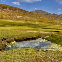 نیازمند همکار خانم