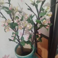 شکوفه ی سیب