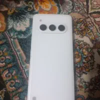 گوشی دریا بان