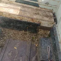 پیکان وانت مدل 83بیرنگ|خودرو سواری و وانت|سراب, |دیوار