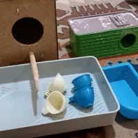 لوازم جانبی پرنده|لوازم جانبی حیوانات|تهران, افسریه شمالی|دیوار