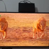 فروش تلویزیون سامسونگ ۴۳اینچ سامسونگ و گیرنده|تلویزیون و پروژکتور|جم, |دیوار