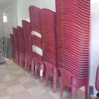 صندلی و ریسه  185 عدد.