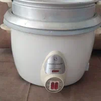 پلوپز  ارام پز  بخارپز