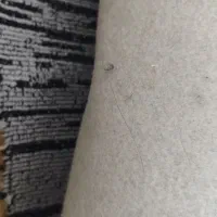 موکت ۱۲ متری زیبا ومحکم