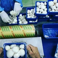 کارگر ساده با جای خواب|استخدام خدمات فروشگاه و رستوران|نوشهر, |دیوار