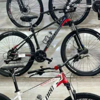 کلکسیون انواع دوچرخه اورجینال ORGINAL 2025|دوچرخه، اسکیت، اسکوتر|بم, |دیوار