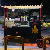 دستگاه بلال تنوری