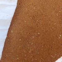 بذر کاملینا یا کاملیا (بوجاری شده)