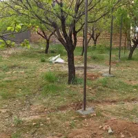 اجاره مغازه کافه رستوران کافی شاپ ۲۰۰متربنا+۲۰۰باغ|اجارهٔ مغازه و غرفه|زنجان, |دیوار