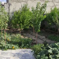 اجاره کوتاه مدت ویلا باغ در روستا|اجارهٔ کوتاهمدت ویلا و باغ|دلبران, |دیوار