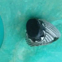 انگشتر حدید خرمایی (هفت جلاله)