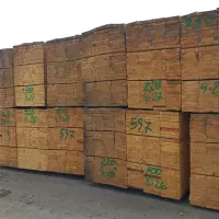 نردبان چوبی از ۲تا۷ متر الوار بنایی (تخته بشکه)بیل|مصالح و تجهیزات ساختمان|تهران, امامت|دیوار