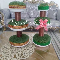 سبزه کده * مدرن*|خدمات پذیرایی، مراسم|بروجرد, |دیوار