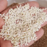 برنج عنبربو