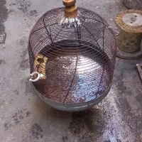 قفس پرنده|لوازم جانبی حیوانات|شیراز, شهرک صنعتی شیراز|دیوار