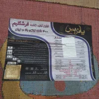 ۲ تا فرش کودک بسیار تمییز در حد نو|فرش|اهواز, زیتون کارمندی|دیوار