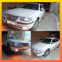 سمند معمولی