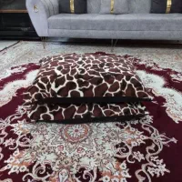 بالش پر