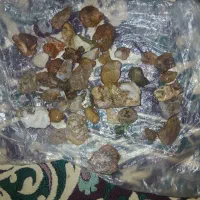 سنگ عقیق شجریاقوت بیشترین هاهست