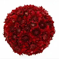 باکس گل ، بوکت گل رز،داوودی دسته ای گیاه آپارتمانی|گل و گیاه طبیعی|تهران, تهرانپارس شرقی|دیوار