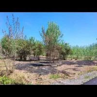 فروش زمین داخل طرح|فروش زمین و ملک کلنگی|رودبنه, |دیوار