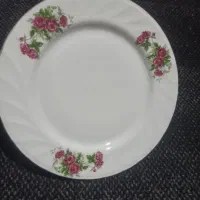 فروش ظروف چینی گل سرخی زیبا و خواستی|ظروف سرو و پذیرایی|شیراز, بهارستان|دیوار