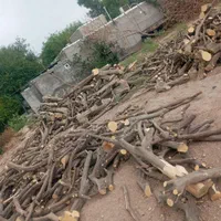 خریدار انواع چوب