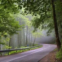 همسفر طبیعت گردی