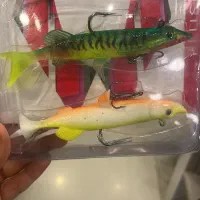 بالا ترین تنوع لور ماهیگیری|ماهیگیری|اصفهان, نقش جهان|دیوار