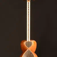 آموزش و تدریس تار برای کودکان و بانوان گرامی|خدمات آموزشی|تهران, ستارخان|دیوار