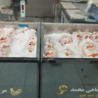 مرغ وگوشت همکاری با رستوران و کافه
