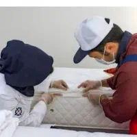 شرکت خدمات سمپاشی دنا سم جنوب سوسک ساس و ..|خدمات نظافت|یاسوج, |دیوار