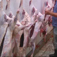 قصاب و سلاخ