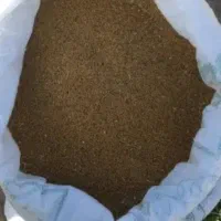 بذر یونجه درجیه یک با تضمین
