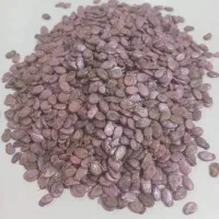 فروش کود مرغی با کیفیت و بذر هندوانه زعفرانی