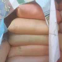 فروش کاه گندم آماده داخل گونی درزنجان