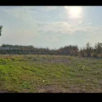 فروش-زمین-کشاورزی